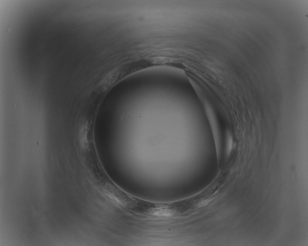X0000073510219200608071104