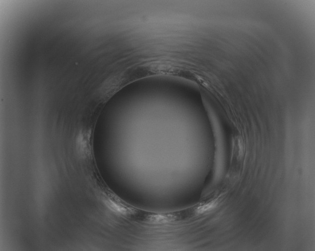 X0000073510239200608071103