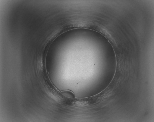 X0000073510251200608071103