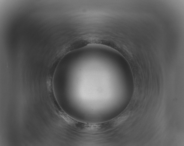 X0000073510288200608071103
