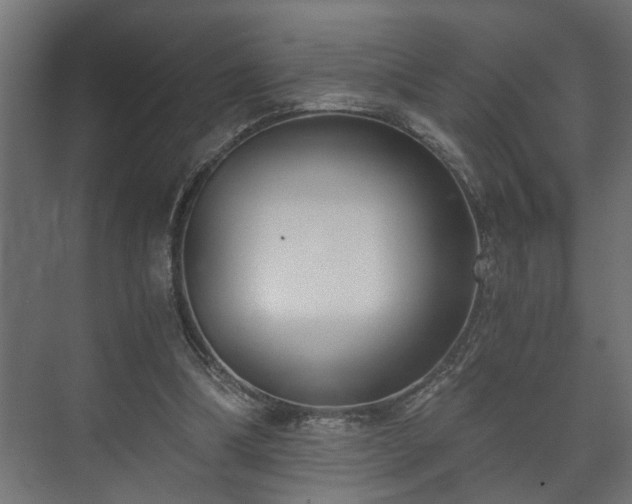 X0000073510298200608071102