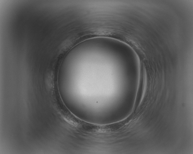 X0000073510303200608071102