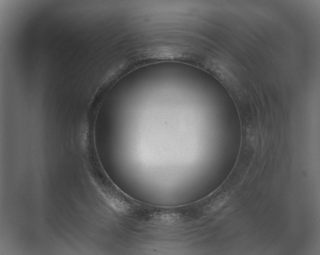 X0000073510304200608071102