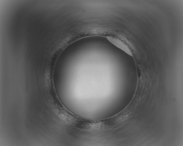 X0000073510306200608071102