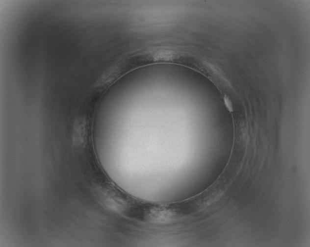 X0000073510311200608071102