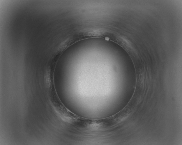 X0000073510312200608071102