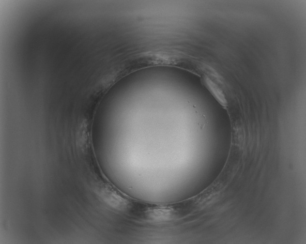 X0000073510318200608071102