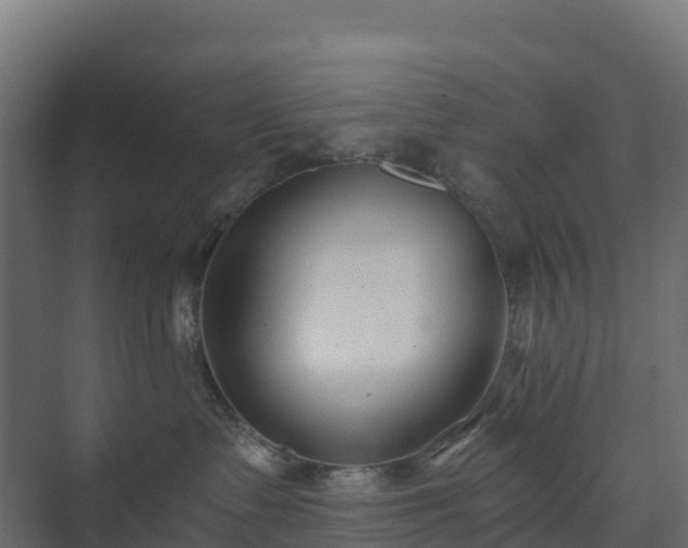 X0000073510335200608071102
