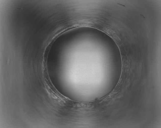 X0000073510338200608071101