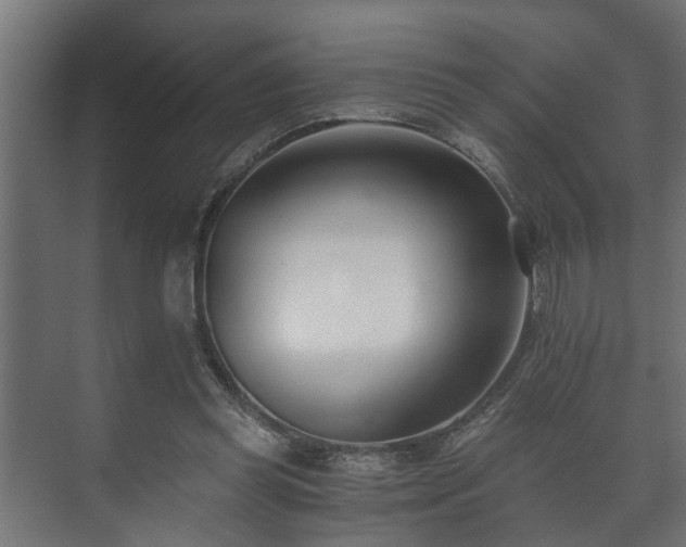 X0000073510349200608071101