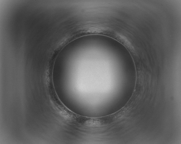 X0000073510354200608071101