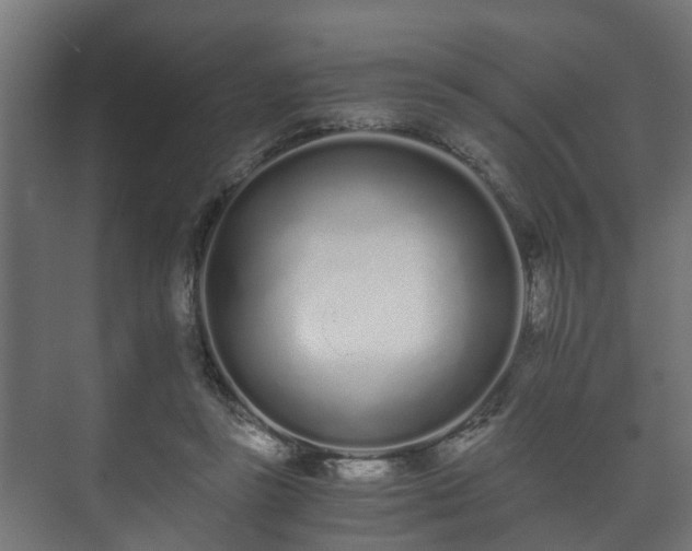 X0000073510355200608071101