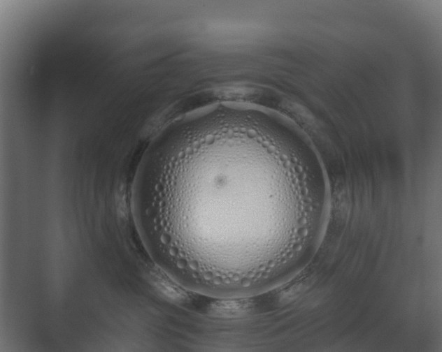 X0000073510381200608071102