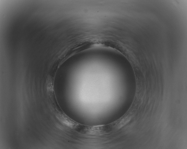 X0000073510384200608071102
