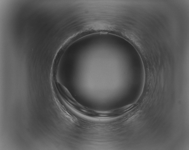 X0000073510391200608071101
