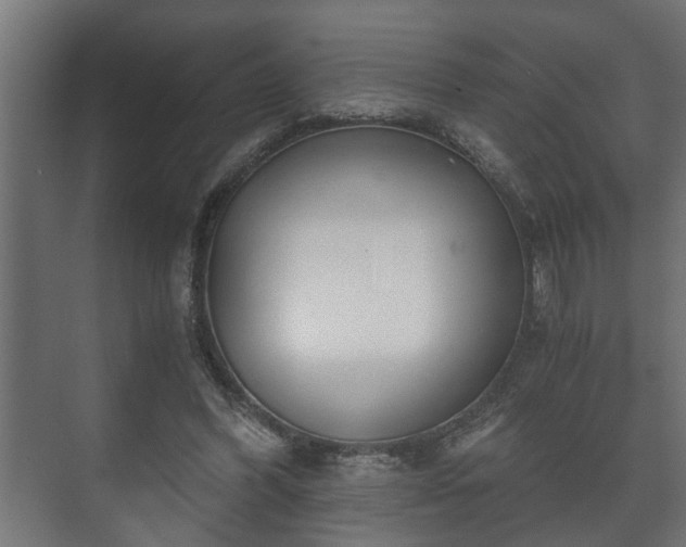 X0000073510396200608071101