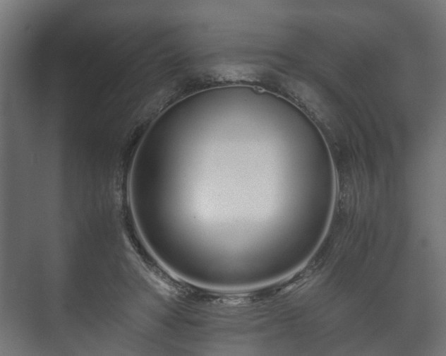X0000073510402200608071101