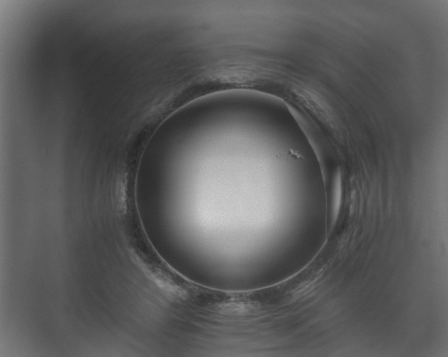 X0000073510404200608071101