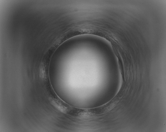 X0000073510408200608071101