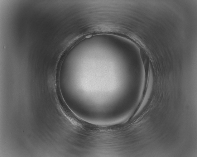 X0000073510438200608071059