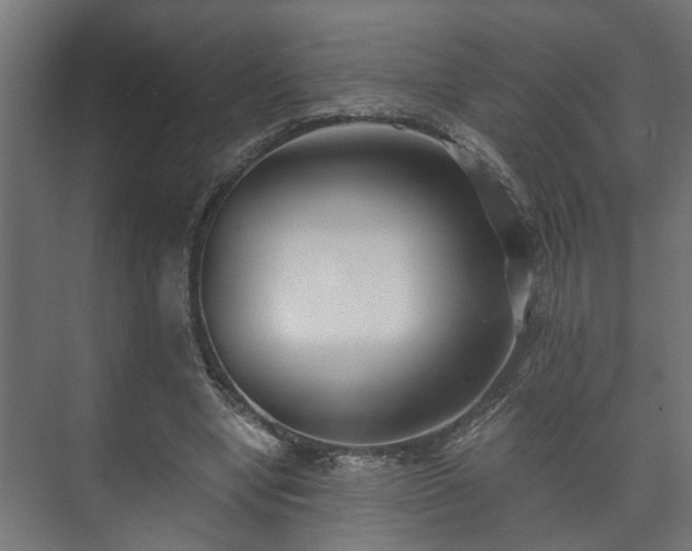 X0000073510442200608071100