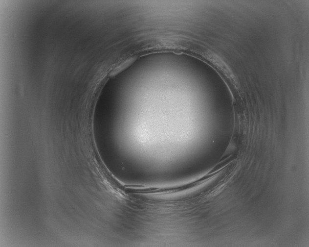X0000073510481200608071059