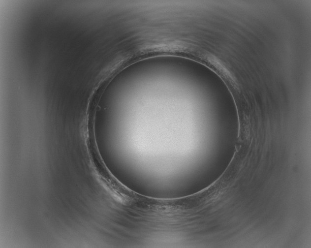 X0000073510486200608071059