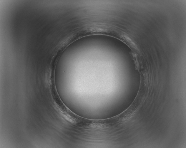X0000073510490200608071059