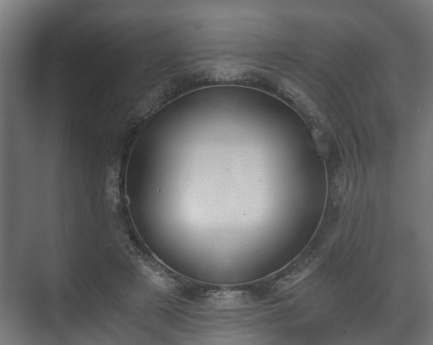 X0000073510497200608071059