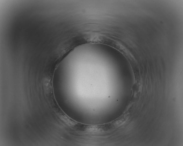 X0000073510521200608071059