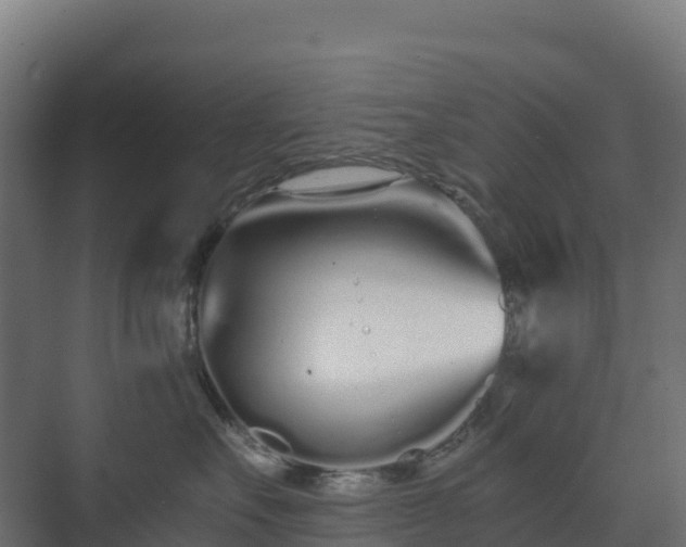 X0000073510527200608071059