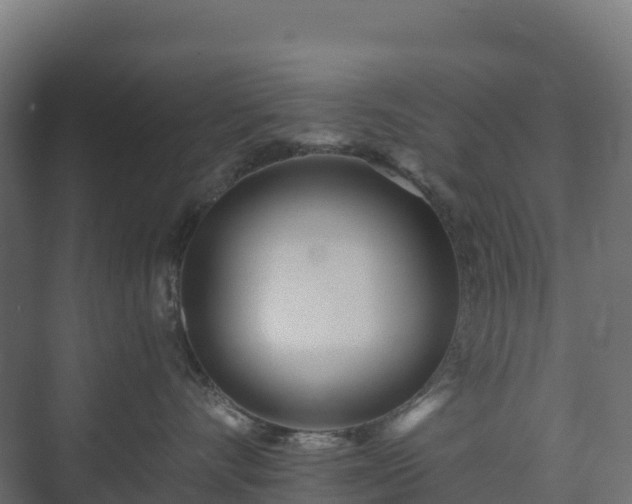 X0000073510528200608071059