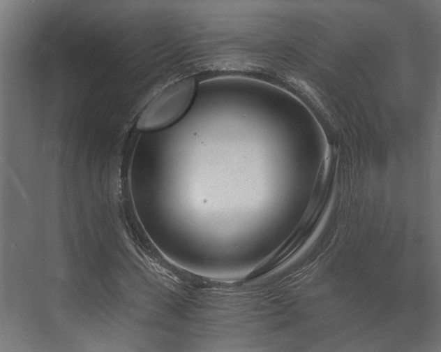 X0000073510531200608071058