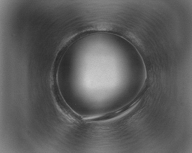 X0000073510536200608071058