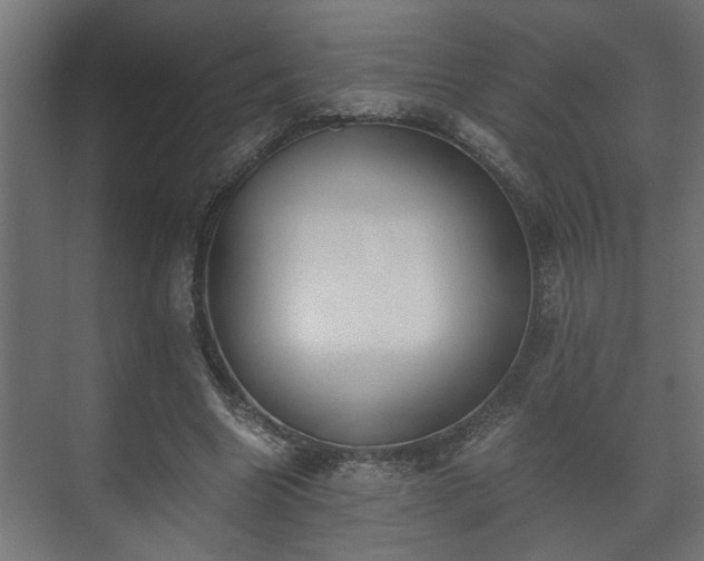 X0000073510538200608071058