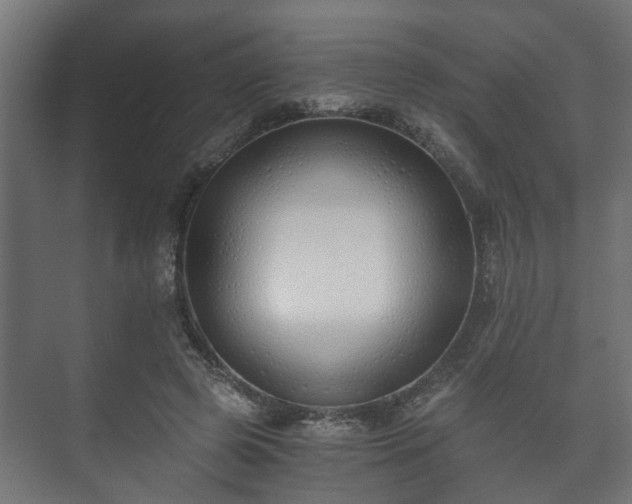 X0000073510545200608071058