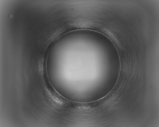 X0000073510586200608071058