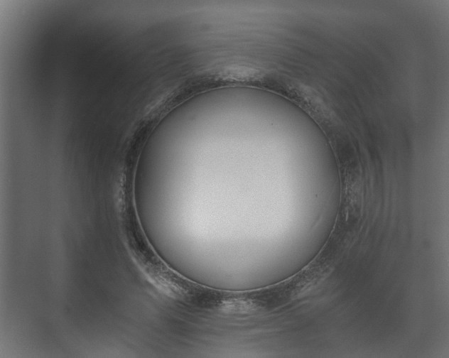 X0000073510591200608071057
