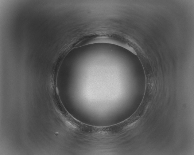 X0000073510593200608071057