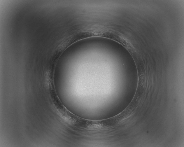 X0000073510594200608071057