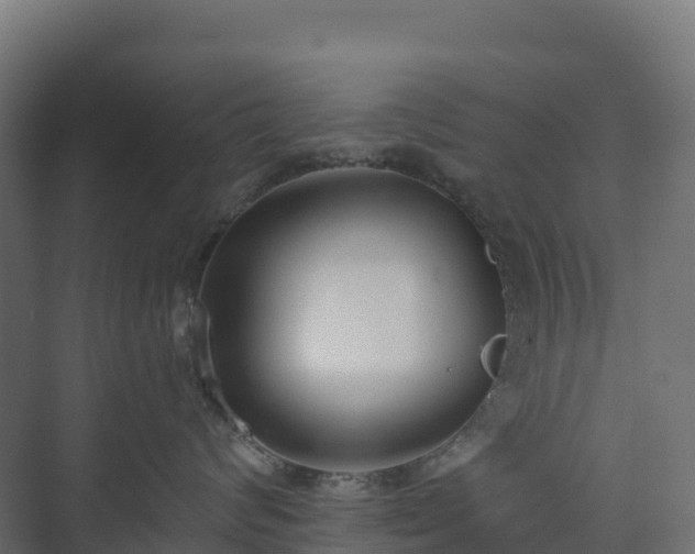 X0000073510624200608071057