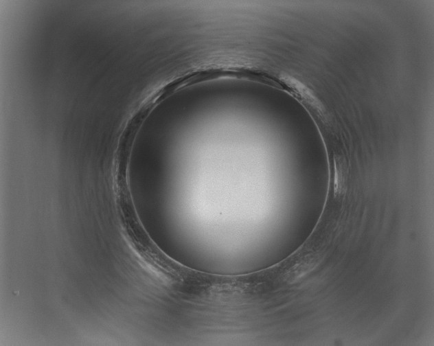 X0000073510627200608071056