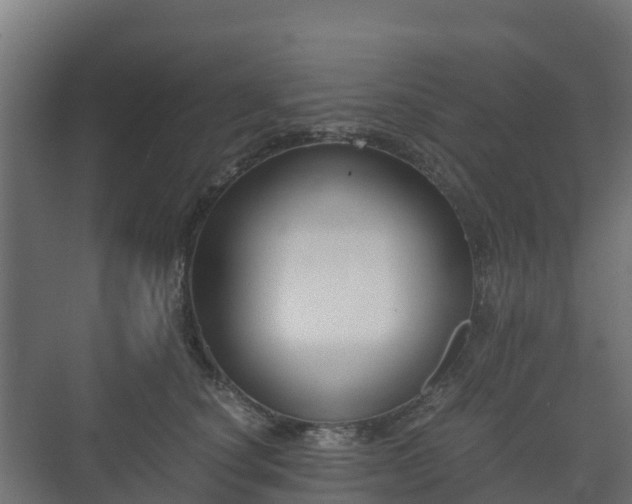 X0000073510660200608071057