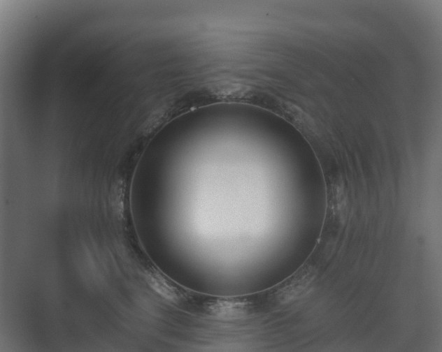 X0000073510664200608071057