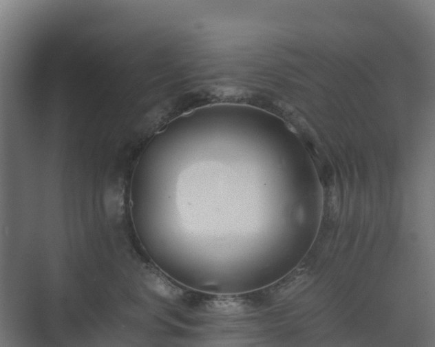 X0000073510668200608071057