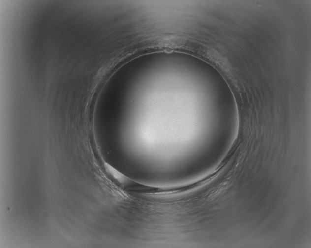 X0000073510673200608071056