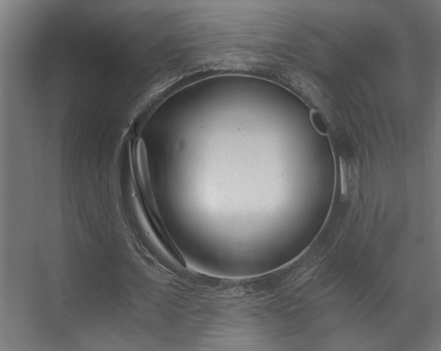 X0000073510675200608071056
