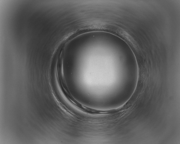 X0000073510677200608071056