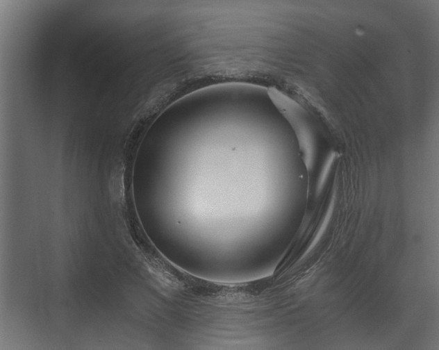 X0000073510685200608071056