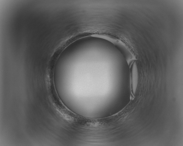 X0000073510688200608071056